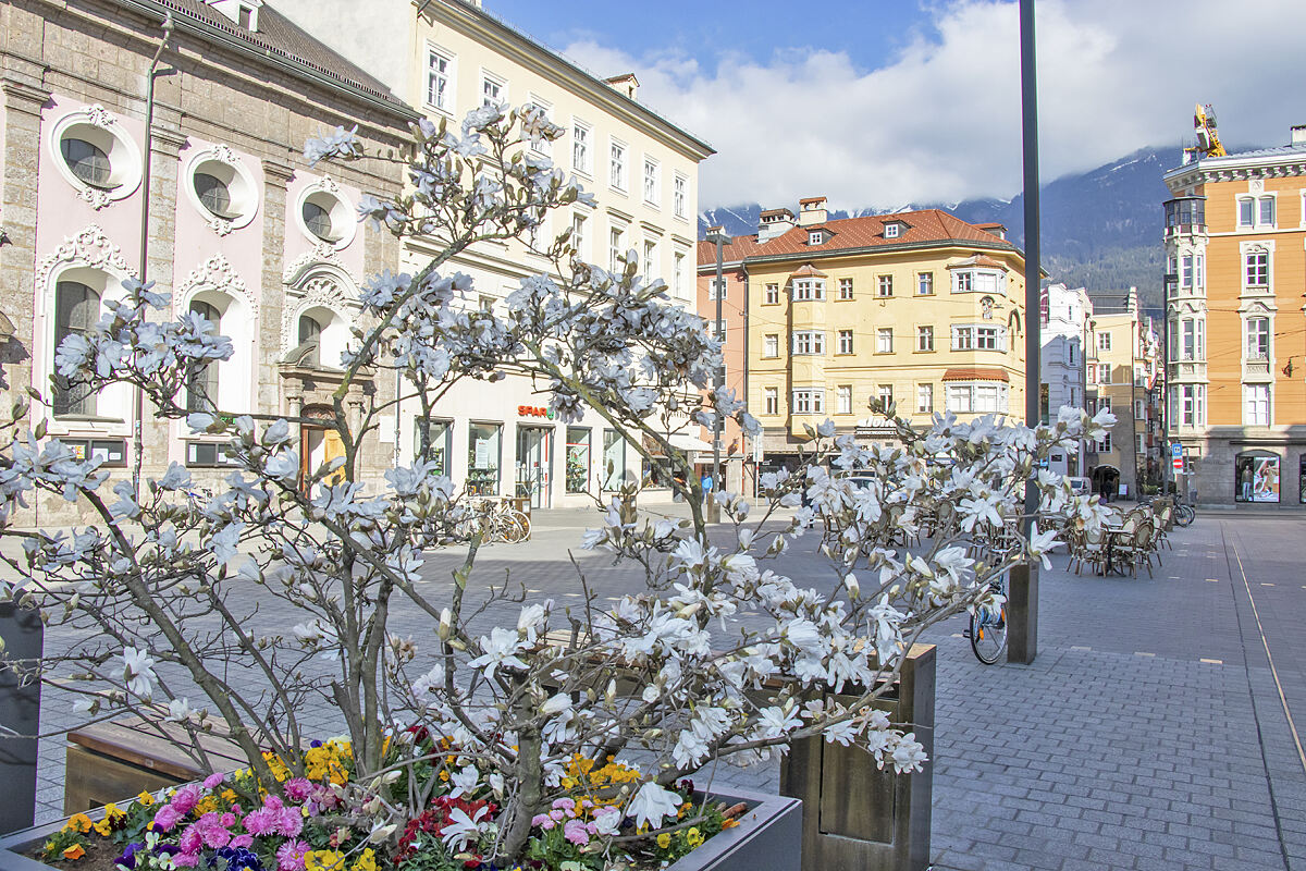 18_19_wirtschaftsmassnahmen_maria_theresien_strasse_mf