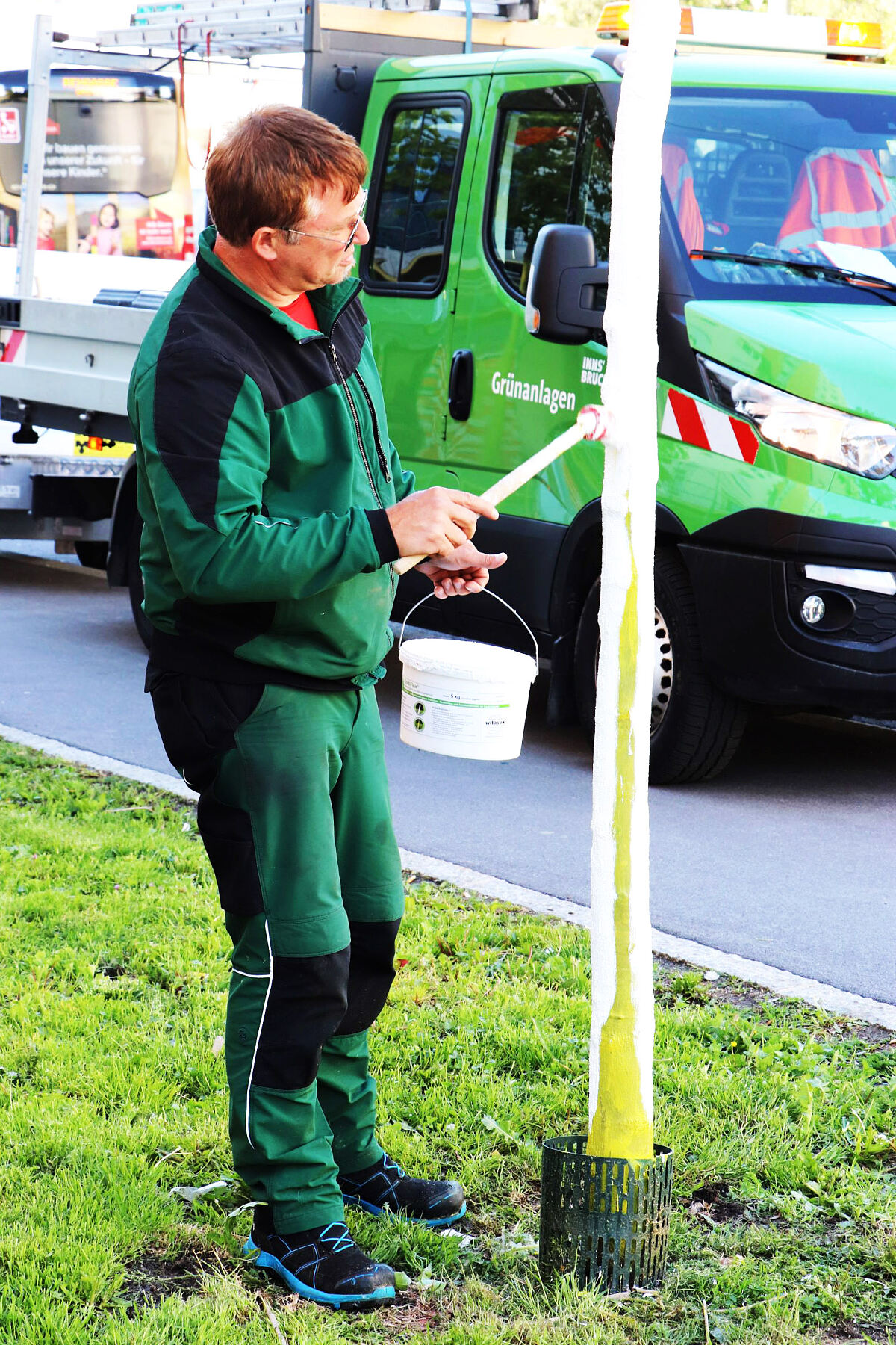 200508_baumpflege_pflaster_wg