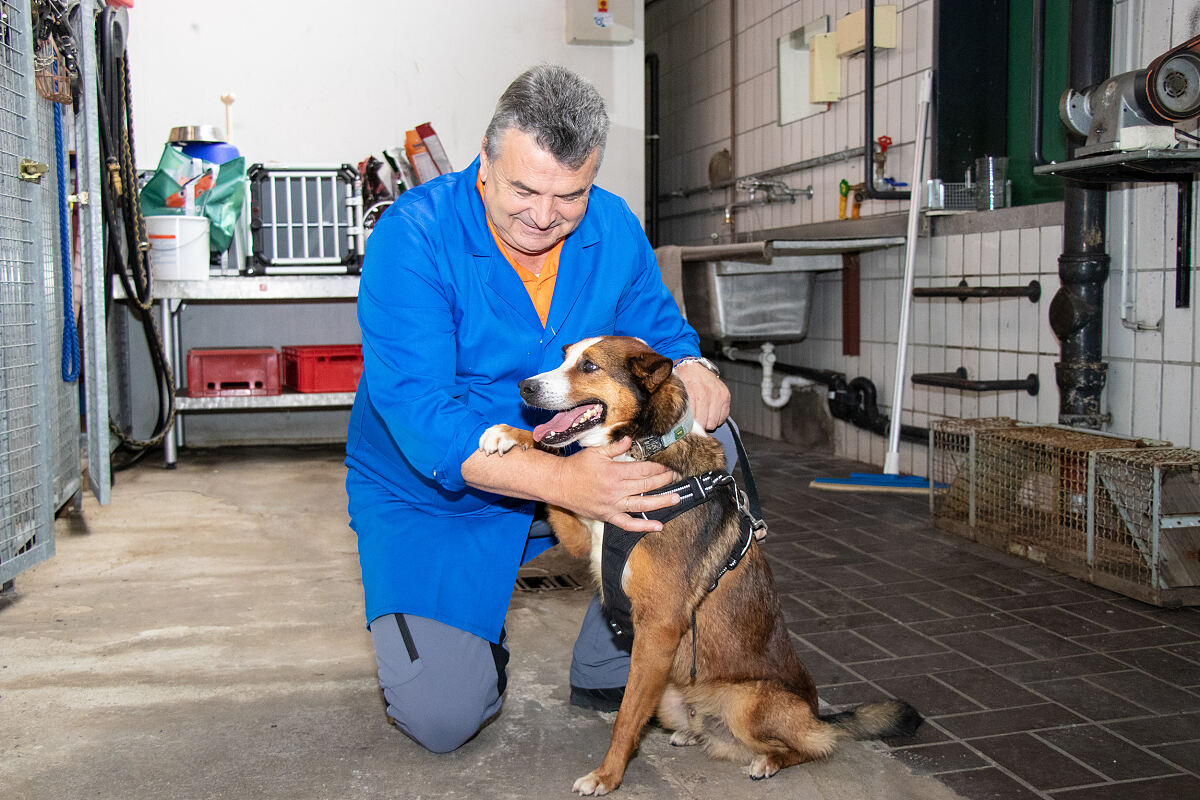 14_15_wasenmeister_charlie_wg