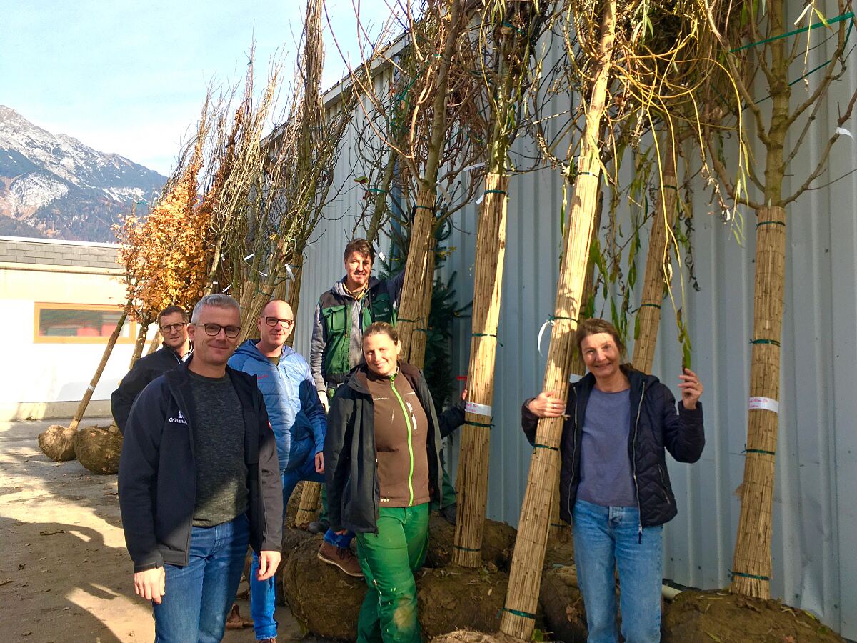 201111_neue_baeume_innsbruck_-_schuierer-aigner