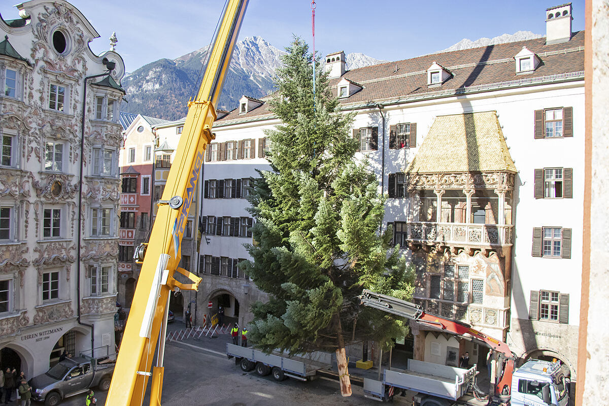 201115_christbaum_altstadt_2_mf