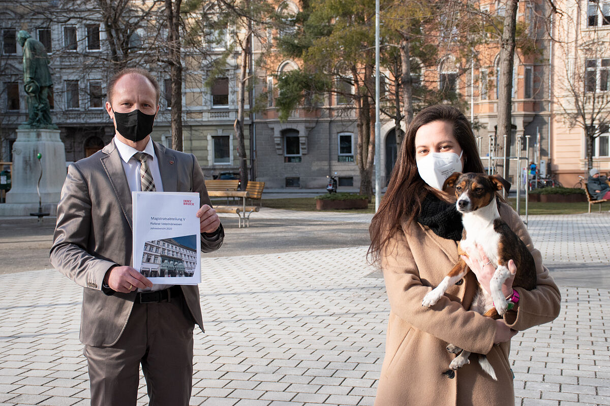 210210_jahresbericht_veterinaer_anzengruber_gillhofer_wg