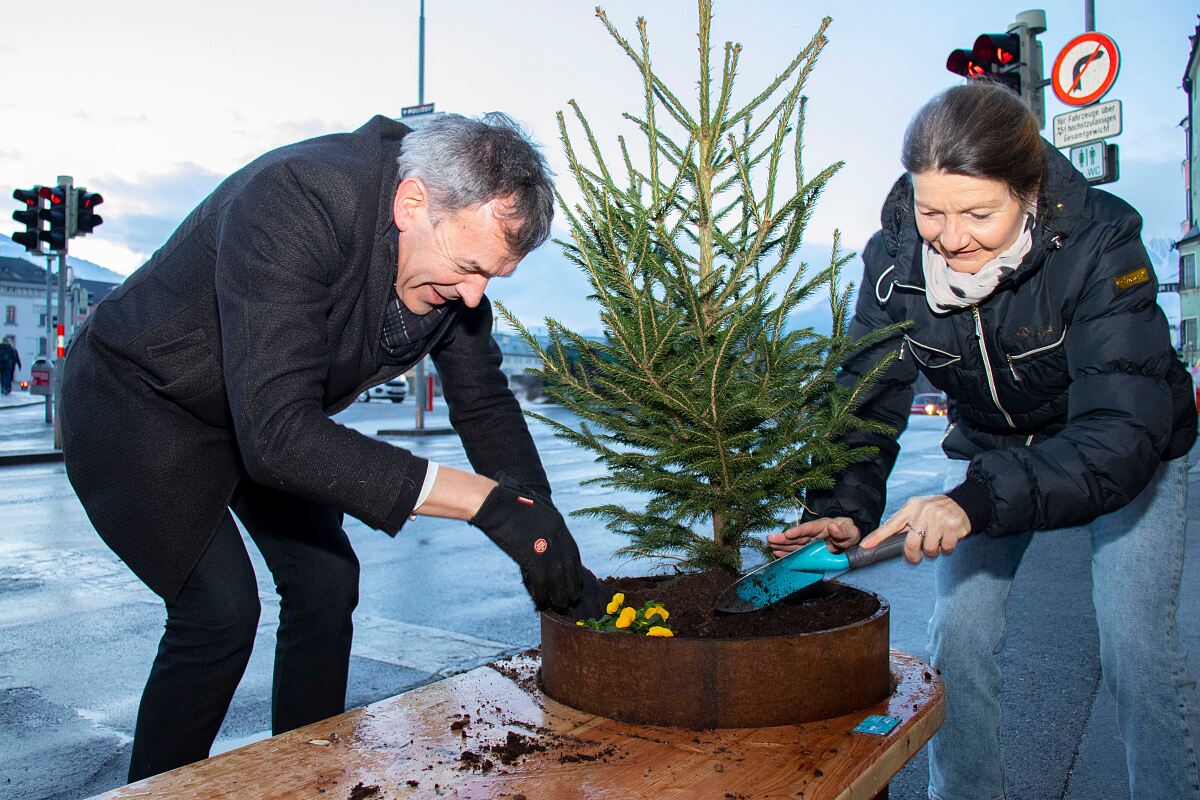 210217_sitzbaenke_innstrasse1-ad