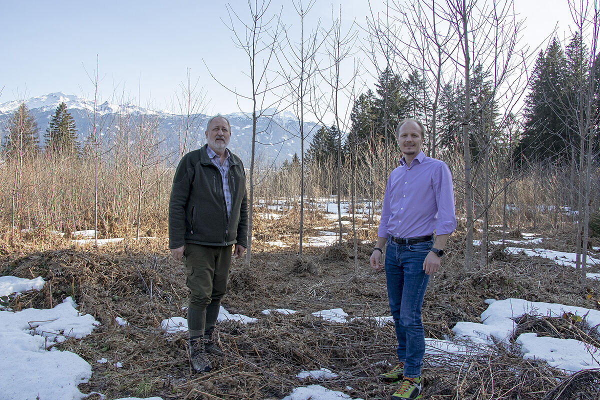 210222_wald_forstarbeiten_sandige_tal_10_mf