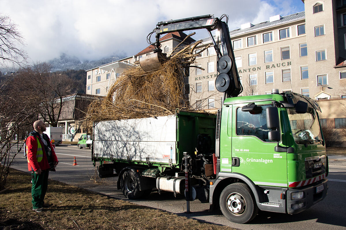 14_15_baumschnitt_wg