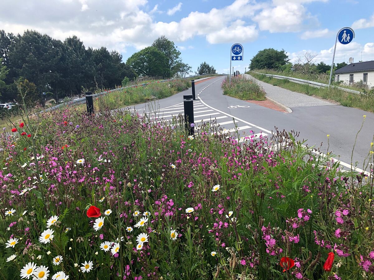 18_19_wildblumen_fahrradbruecke_-c-_aalborg_kommune