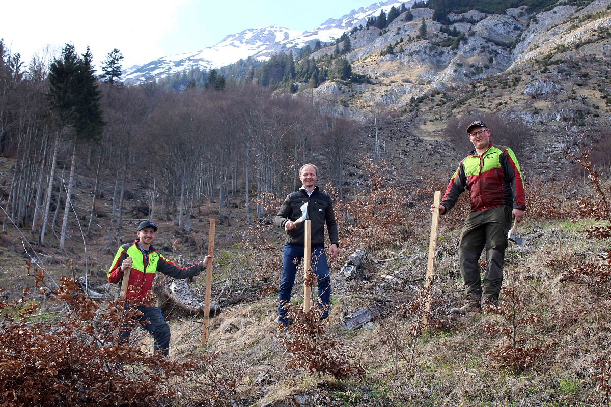 210428_aufforstung_-c-wex-rene