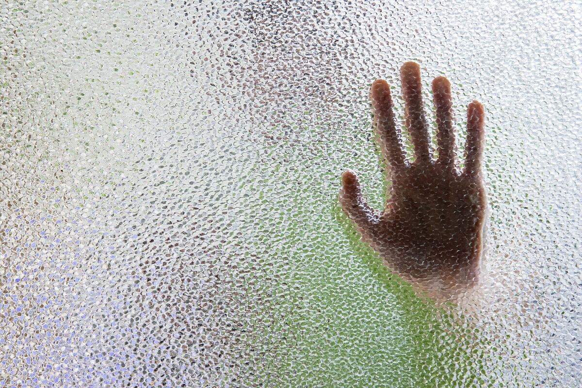 12_13_shutterstock_1664154847