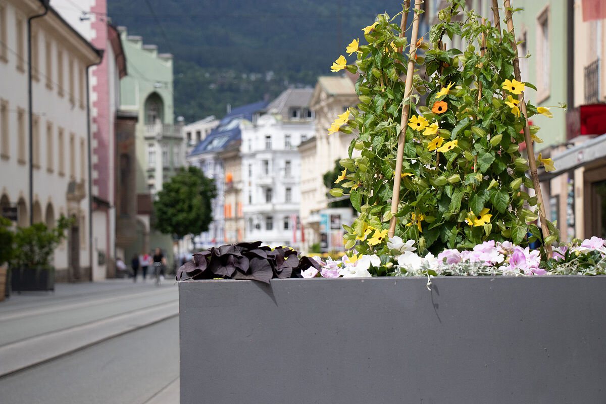 210610_maria_theresien_strasse_sued_wg