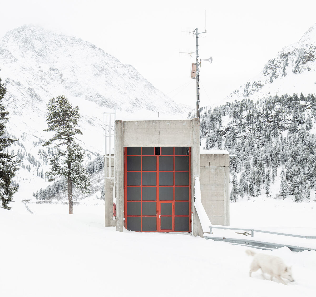 210712_toni-schade_mg_0451-2-ausschnitt