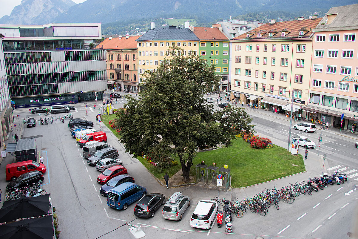 210915_img_5736_-c-wg