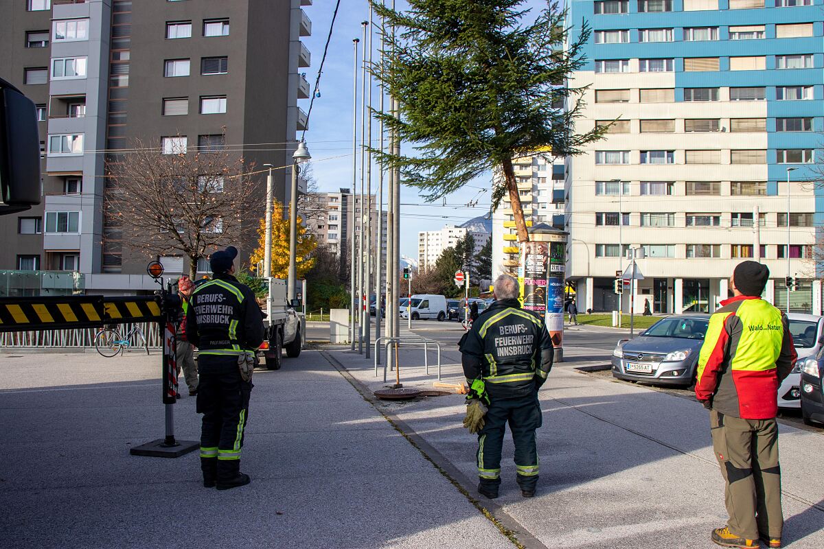 211119_christbaumaufstellen_o-dorf2-ad