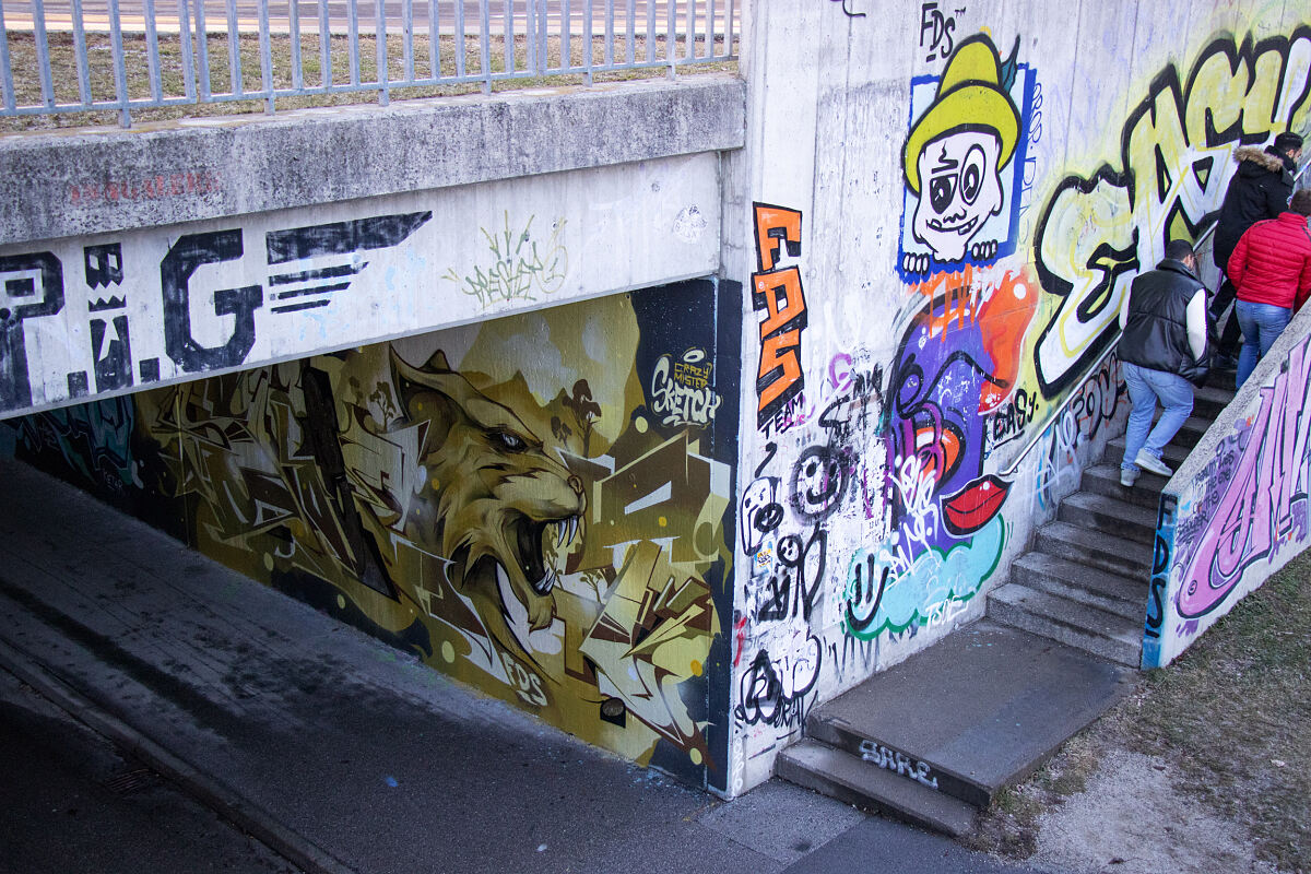 220118_streetart_unibruecke_-c-wg