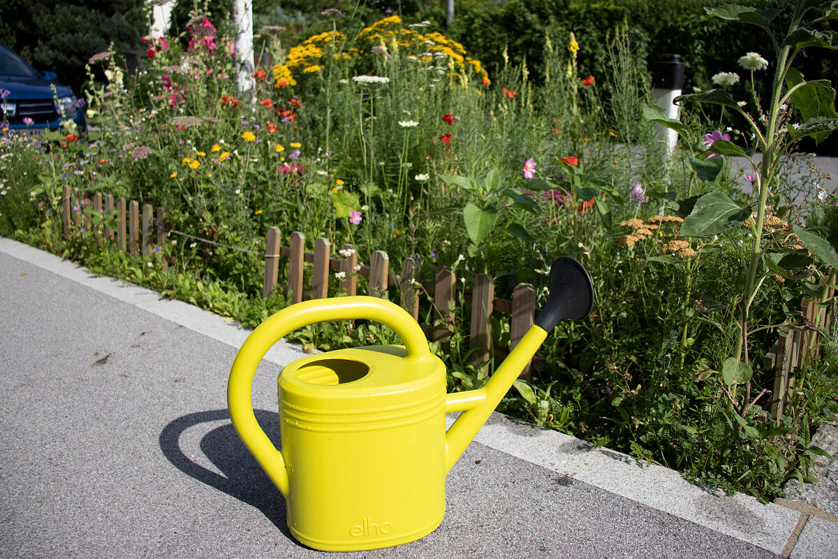 220218_baumscheiben_wg