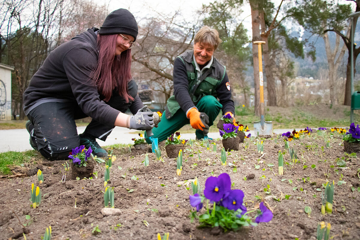 14_15_gruenanlagen_-c-wg