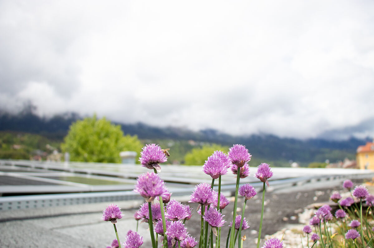 6_7_energiedaten_-c-wg