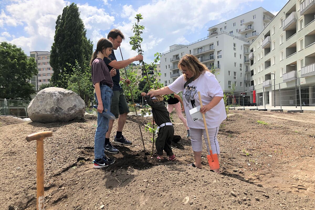 220627_mach_mit_pflanzenaktion_campagne_reichenau