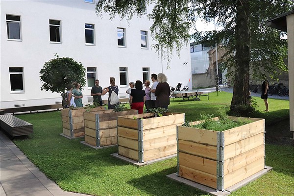 Hochbeete im Gymnasium Kettenbrücke