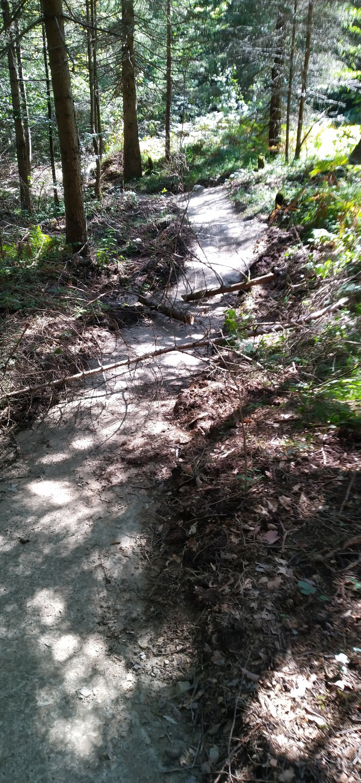 220824_hofwaldtrail_vandalenakte_stadtibk