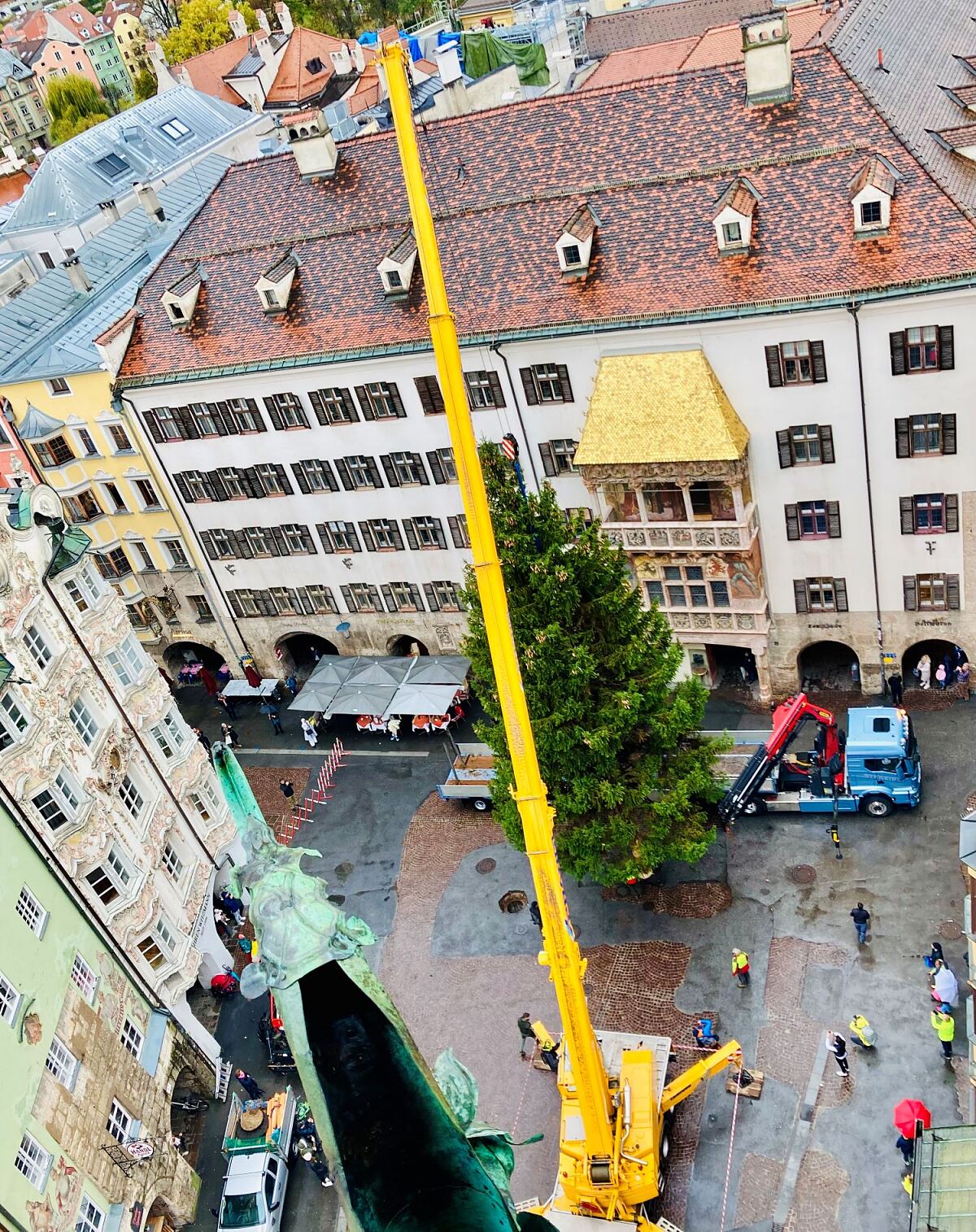 22104_christbaum_aufstellung_wg