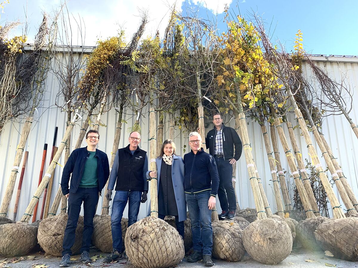 221116_60_neue_baeume_innsbruck_-_psa