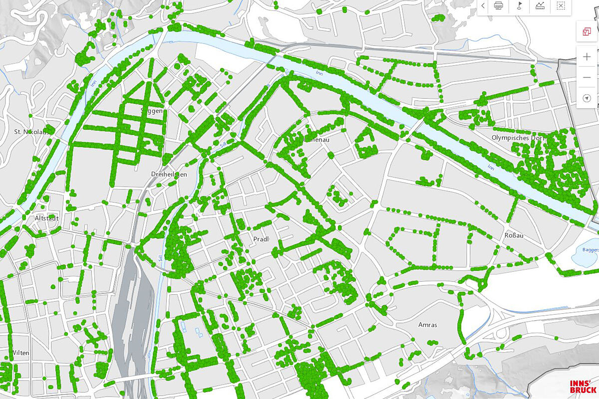 200701_baumkataster_ausschnitt