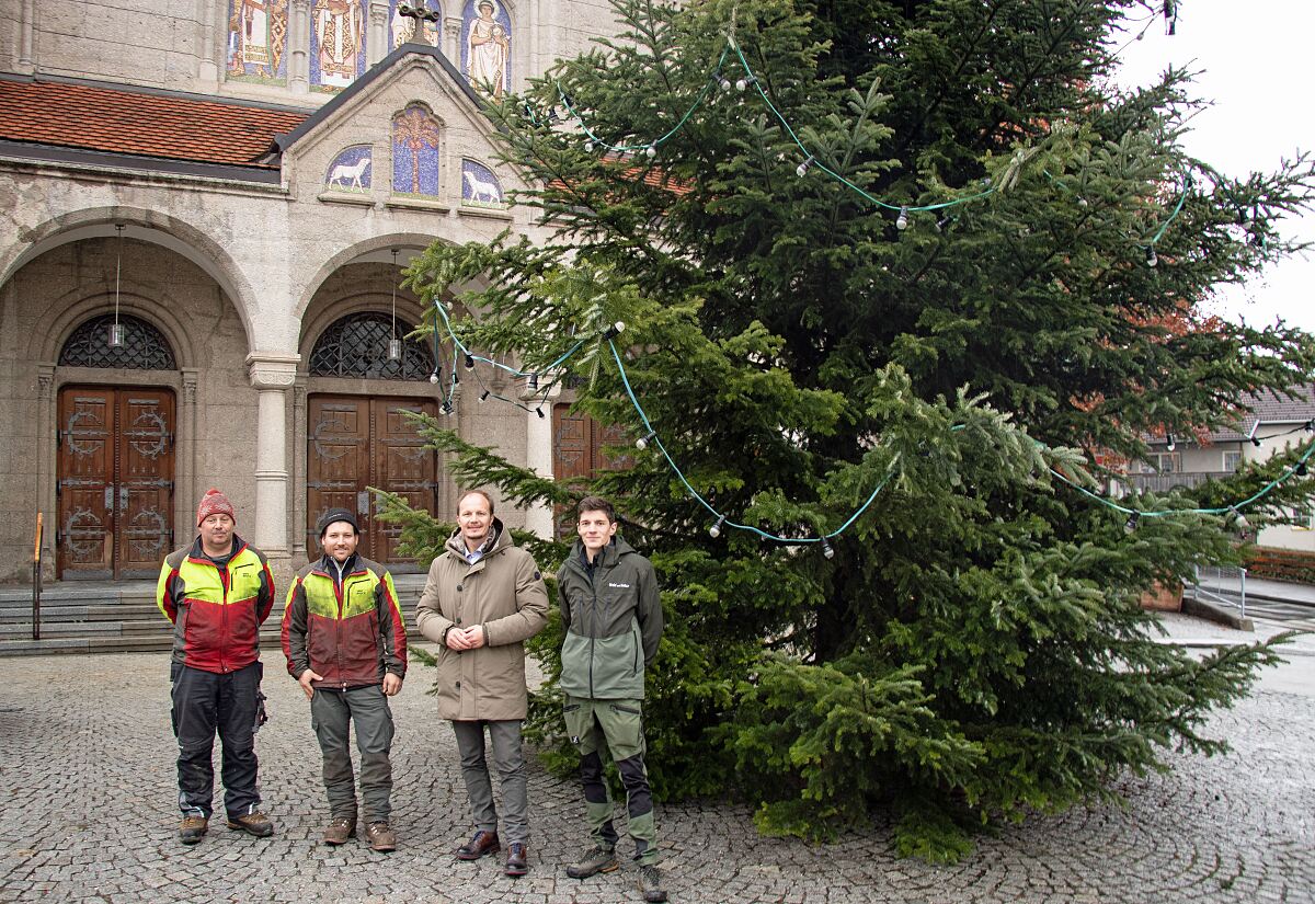 221130_stadtteilchristbaum_anzengruber_jaeger_fb