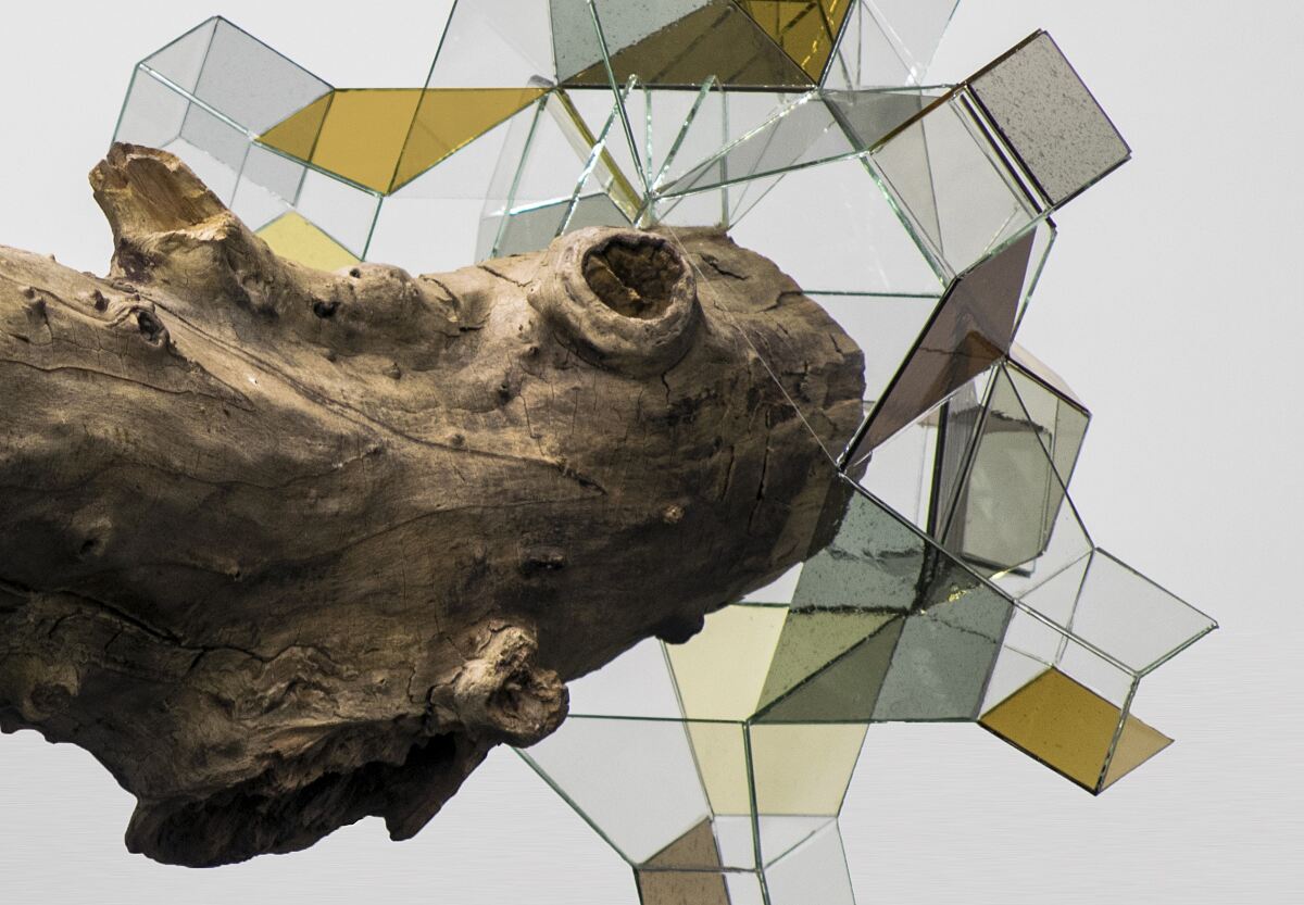 230206_plattform6020_medicus_quer