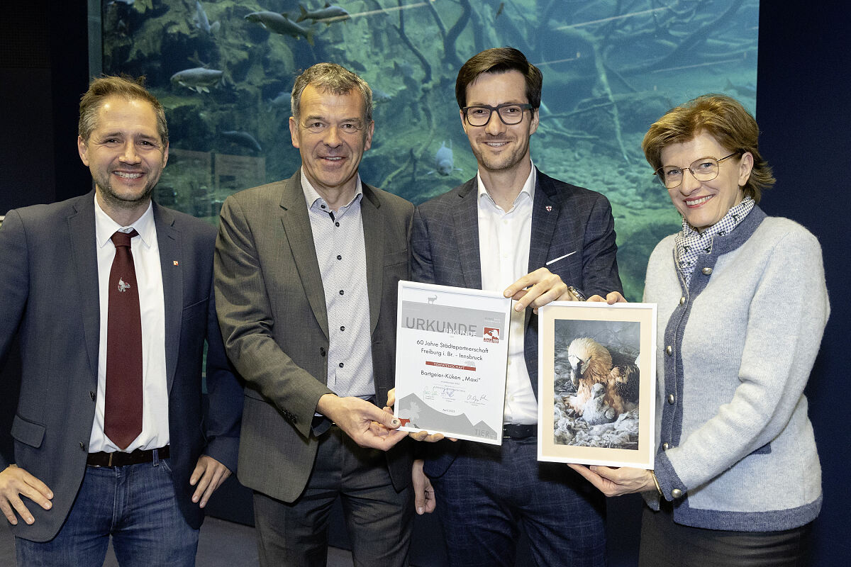 230414_bartgeier_60_jahre_staedtepartnerschaft_freiburg_-stadt_innsbruck