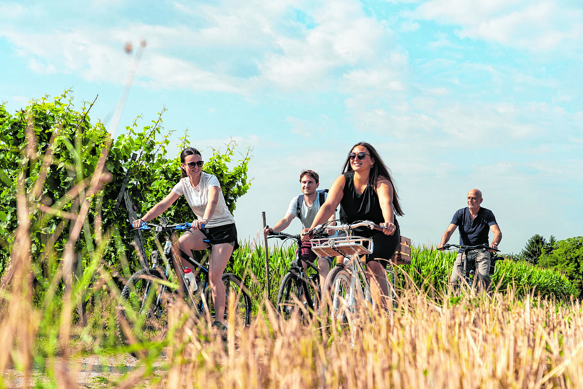 12_13_radler_fwtm_joos