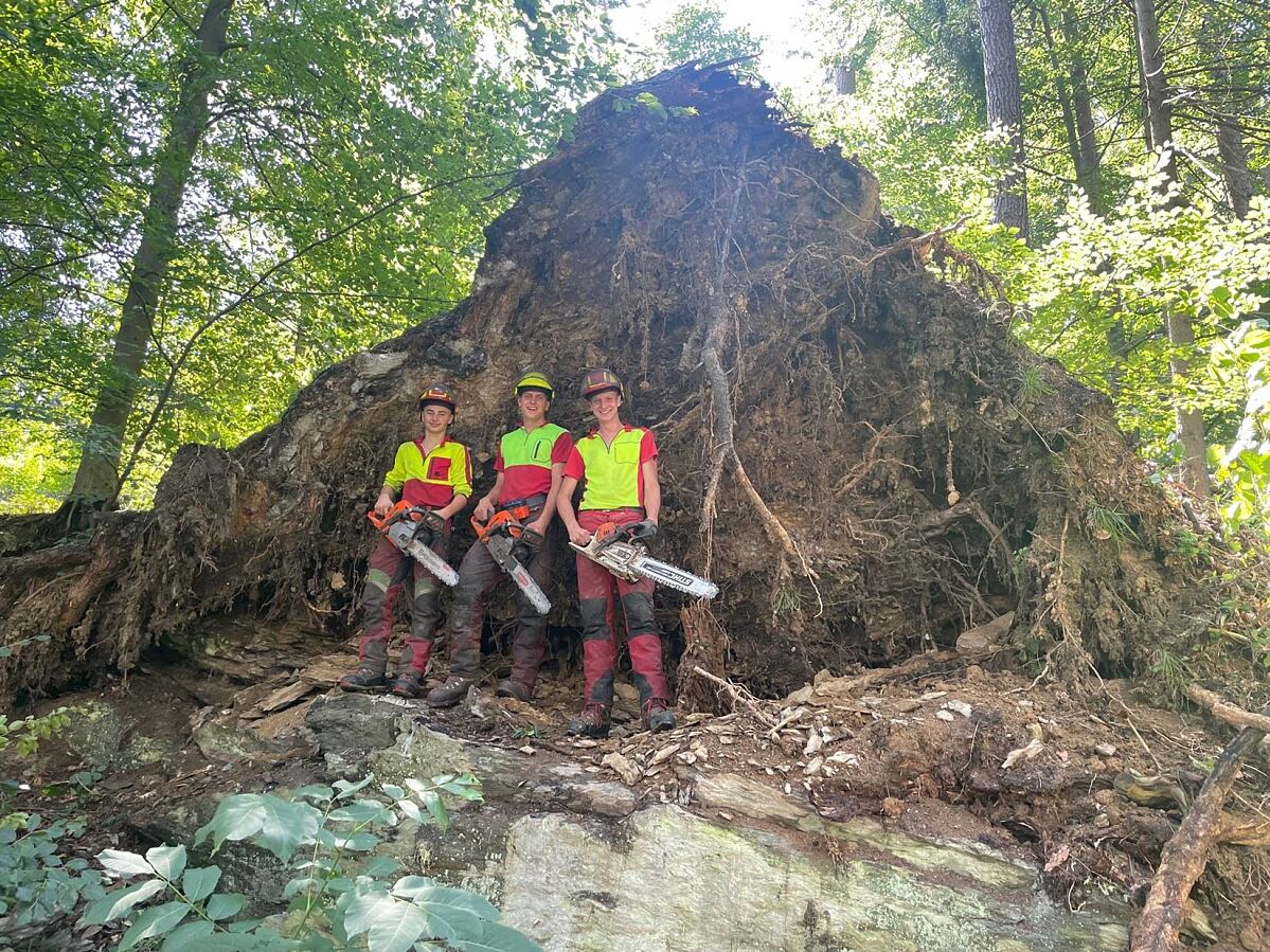 230810_schadholz_abtransport_wald