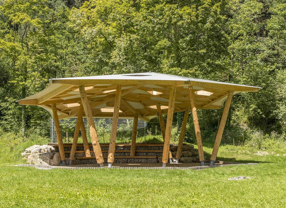 230829_waldschule_sukopf_klein-9-_quer