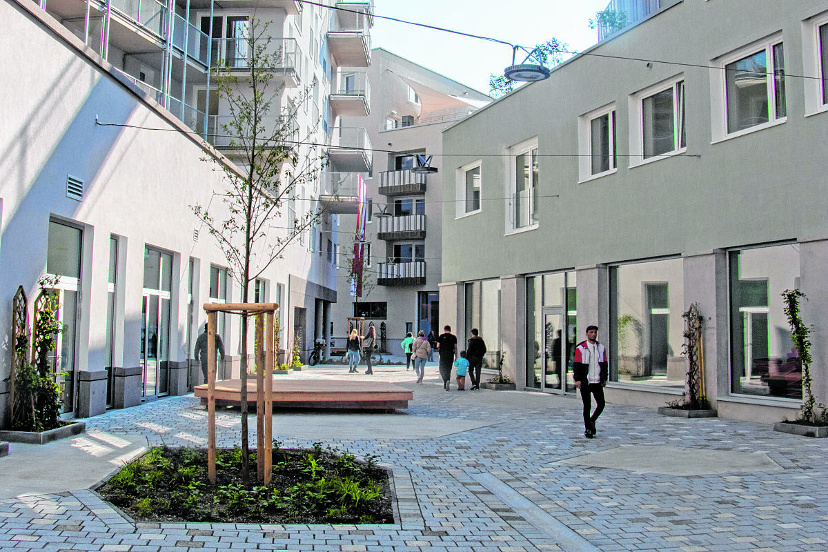 6_7_gesundes-bauen-und-wohnen_schla-â-ssela-â-bergabe_campagne-reichenau_a-é-_krudig