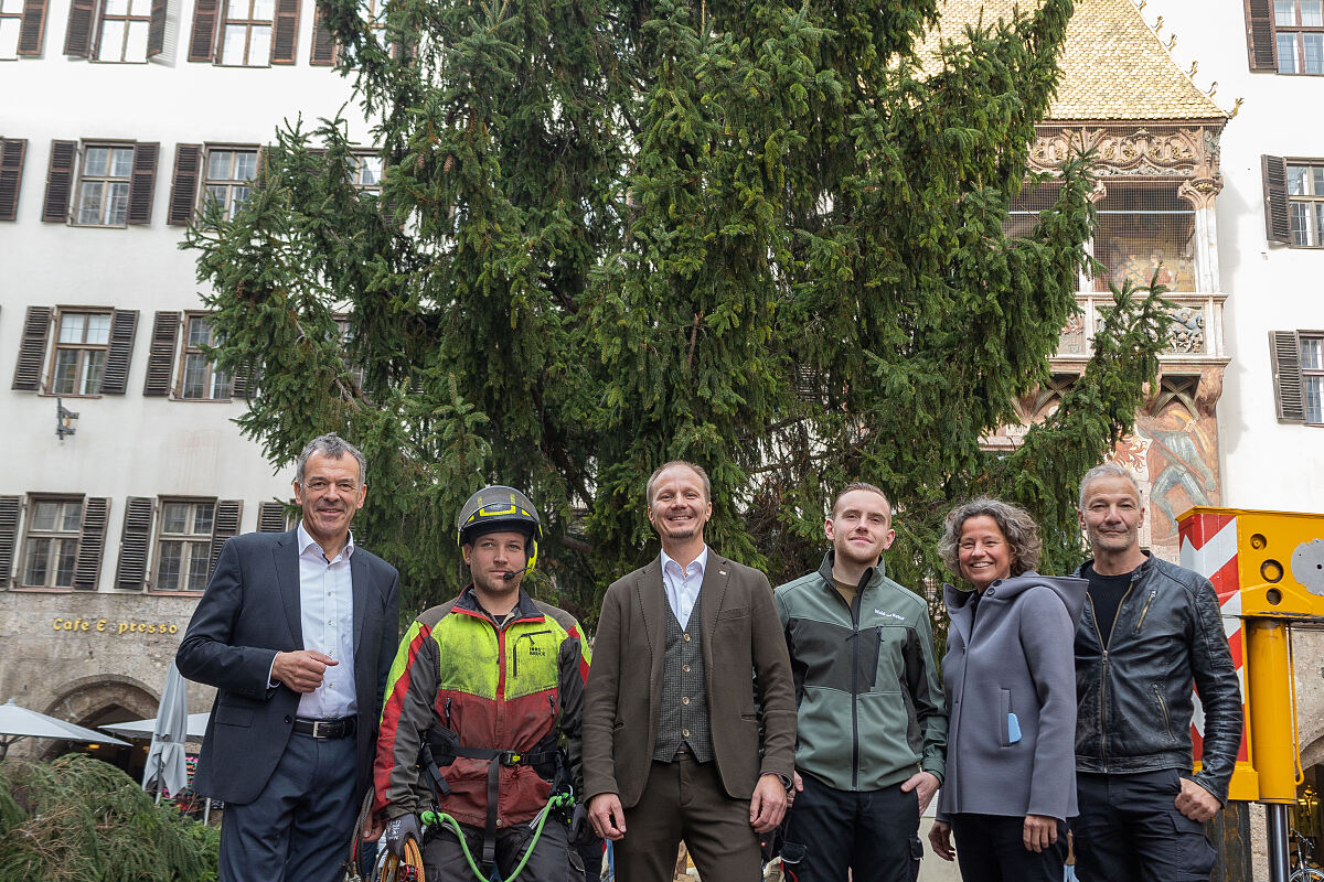 231102_christbaum_altstadt_innsbruck_2023_quer_mf