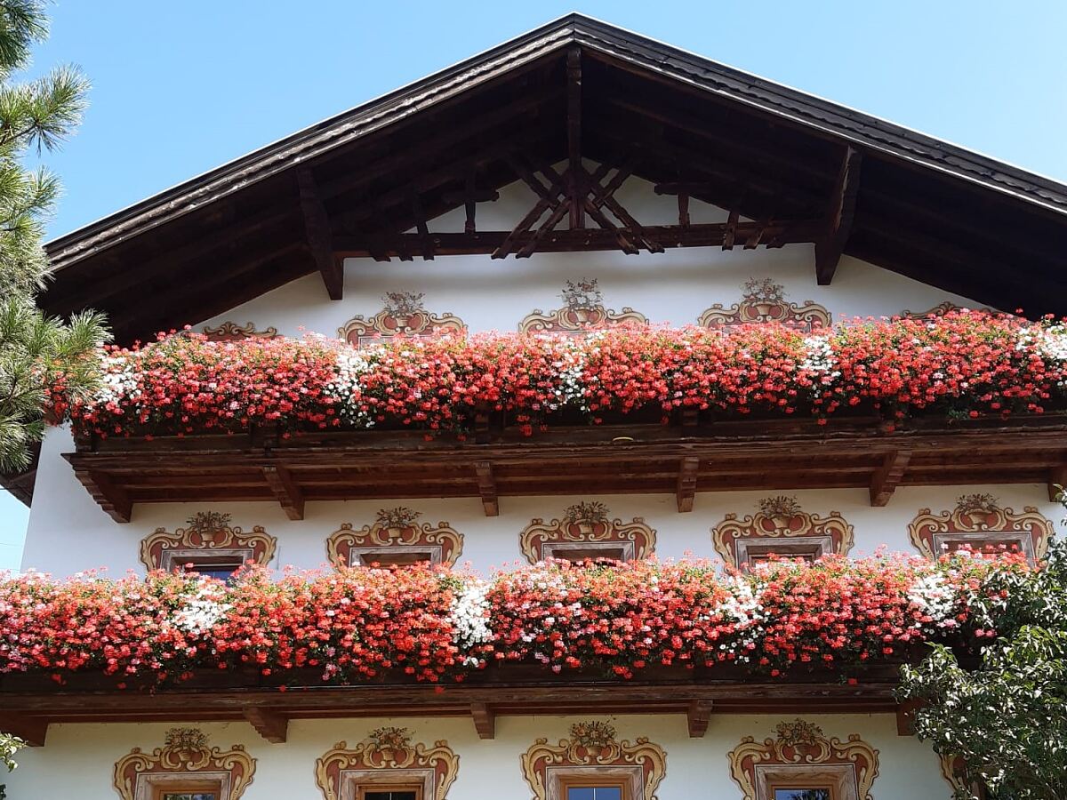 240315_blumenschmuck-wettbewerb_4_stadt_innsbruck