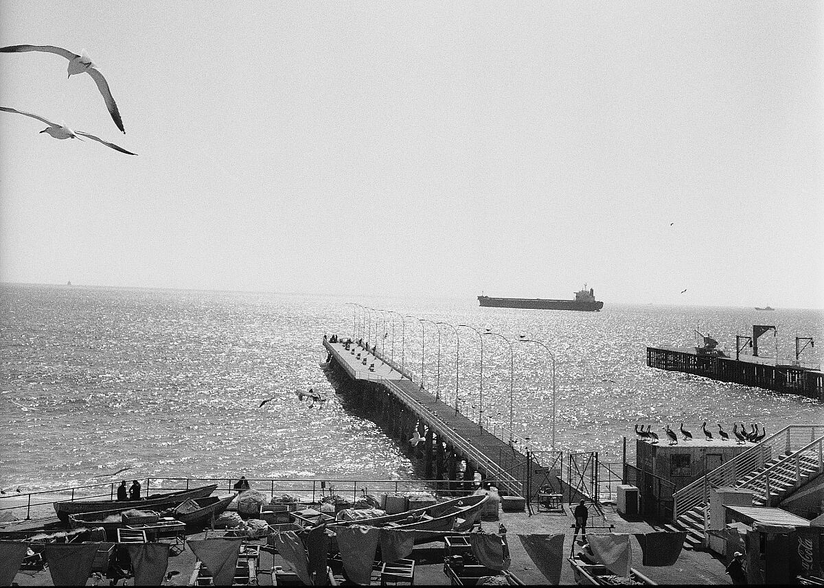 240328_ausschnitt_online_plattform6020_zita-oberwalder_valparaiso