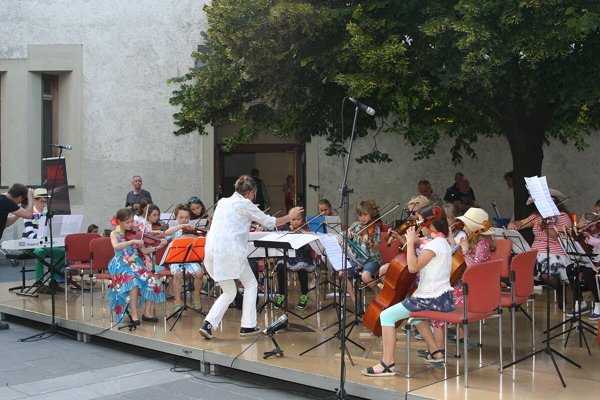 240531_hofkonzert-und-moonlightkonzert-foto-wolfgang-alberty