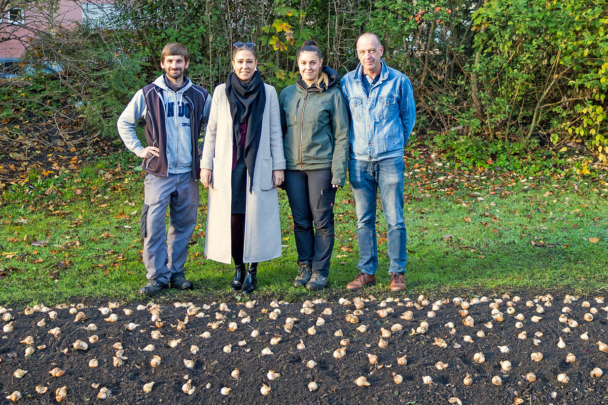 241025_blumenzwiebeln_reichenau_1_fb