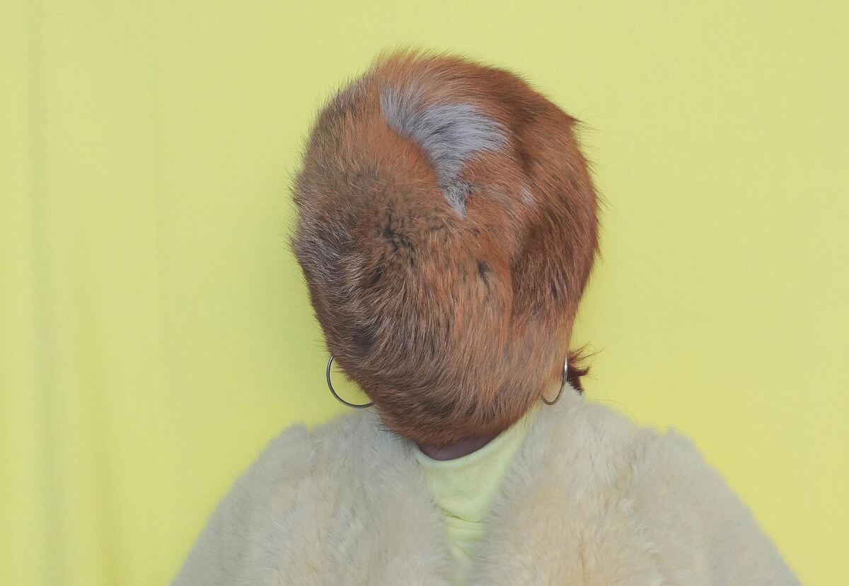 241104_plattform6020_cspatt_ausschnitt