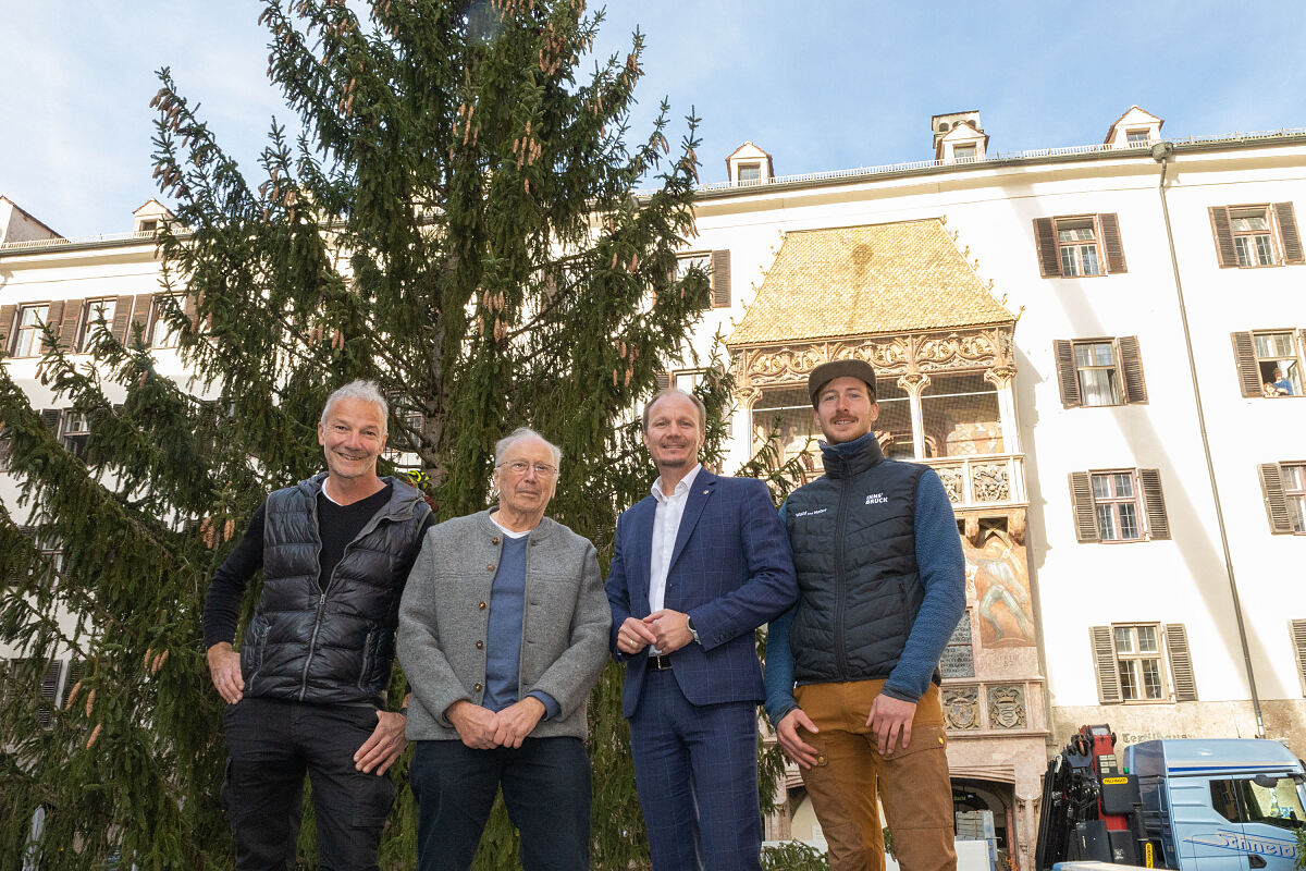 241105_aufstellung_christbaum_altstadt_2024_1_mf