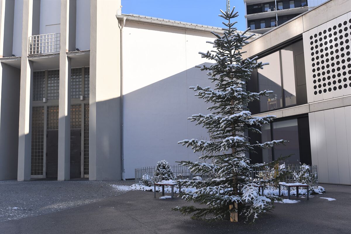 241123_weihnachtsbaumaktion_pauluskirche_1_ui