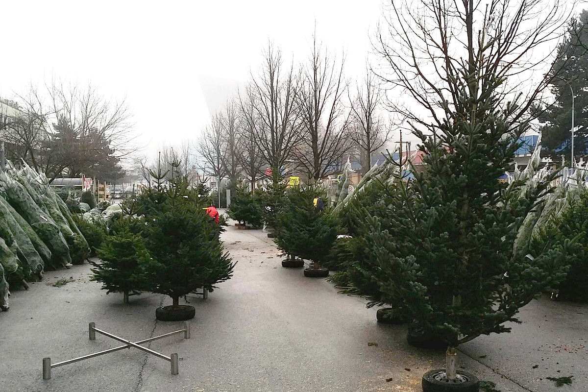 201218_christbaummarkt_-c-wolfgang_lux