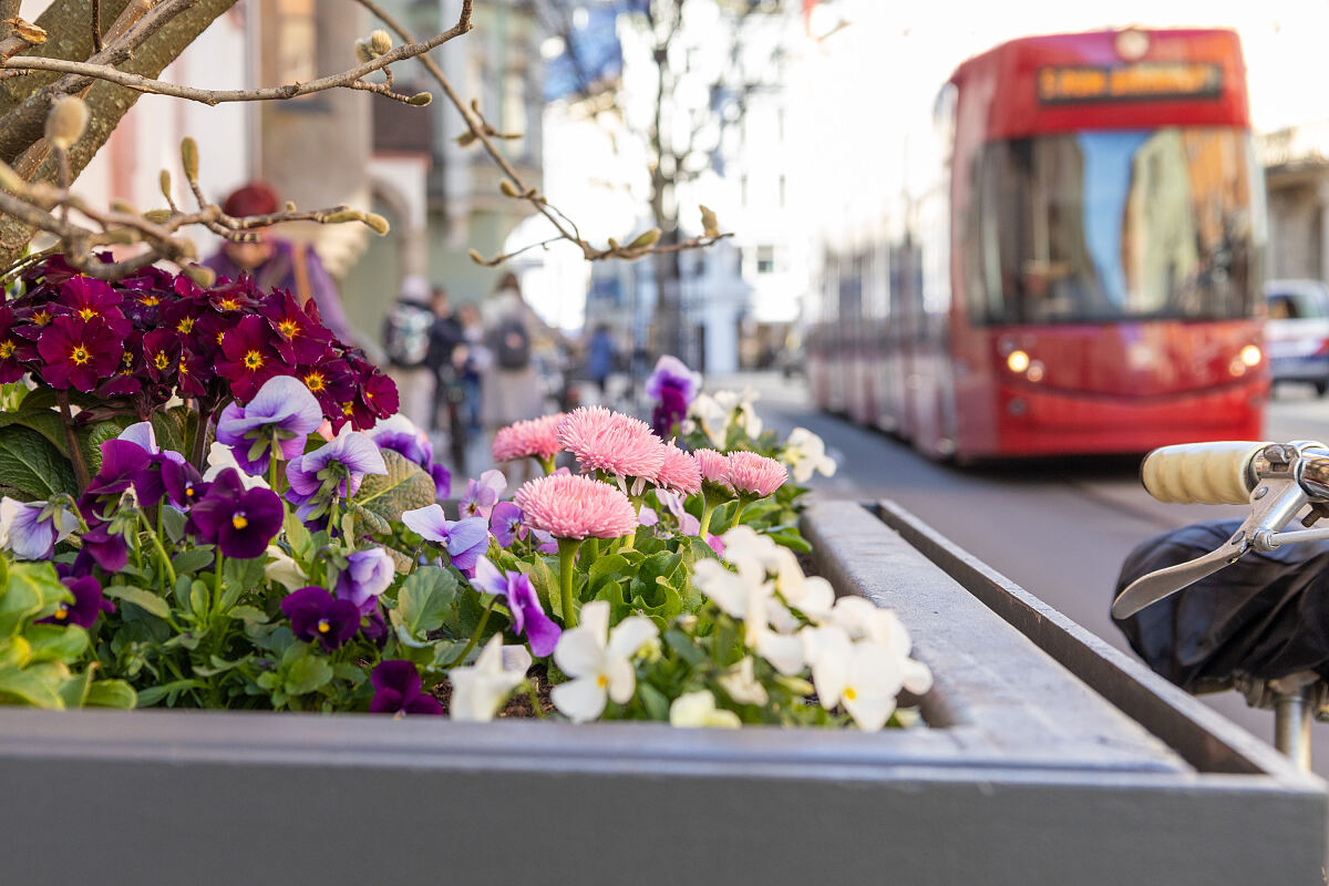 16_17_gruenanlagen_stadtteile_mf_3