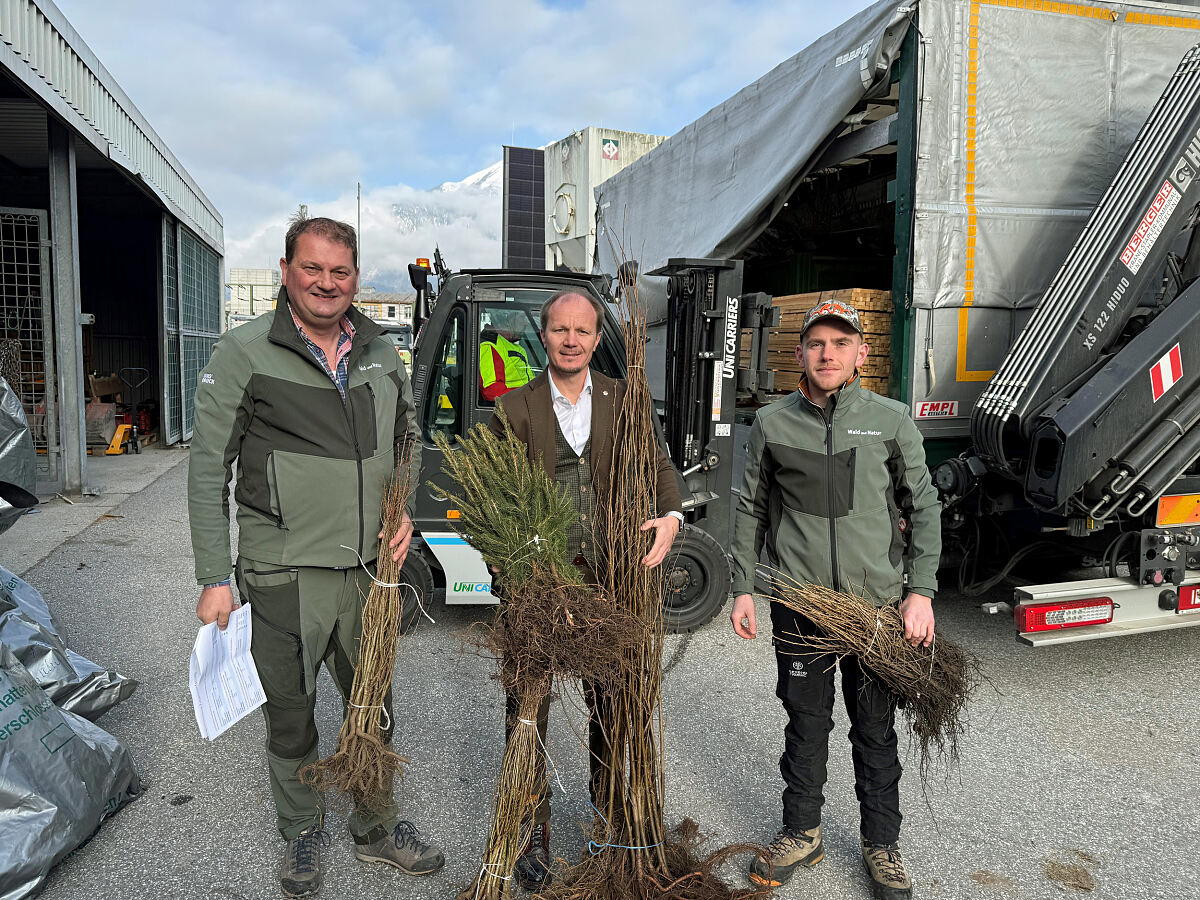 250407_baumlieferung1_knauseder