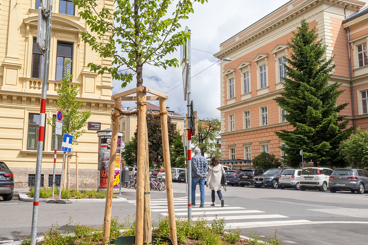 16_17_schwammstadtprinzip_schmerlingstrasse_-m-freinhofer