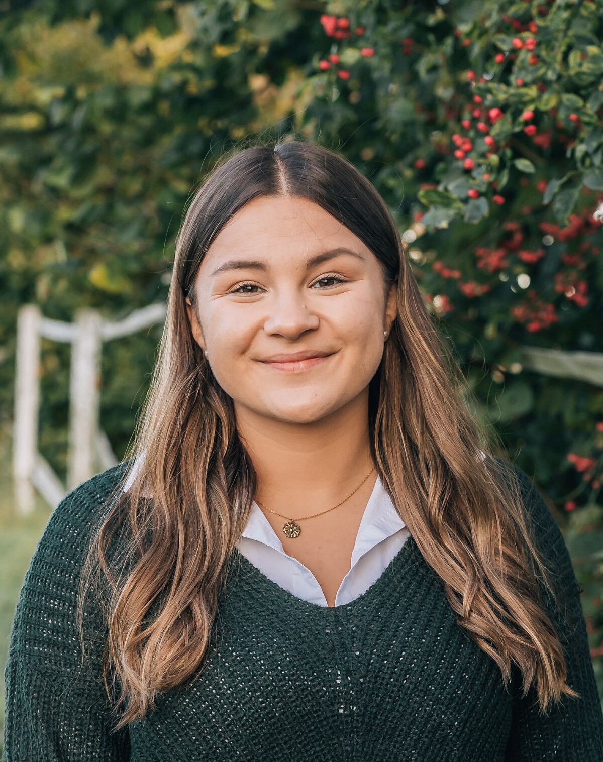 250621_anna-schober_-veronikapugel