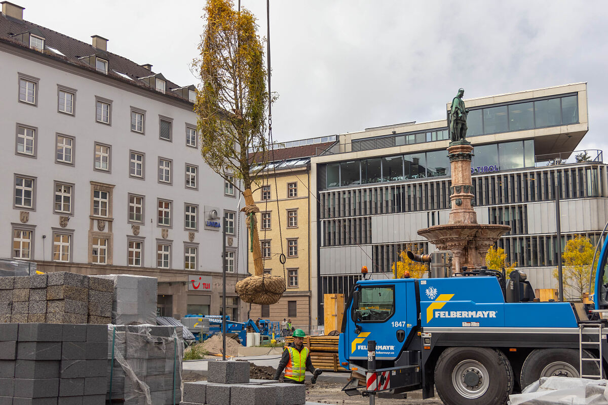 251007_bozner_platz_erste_baeume_wirtschaft_2_mf