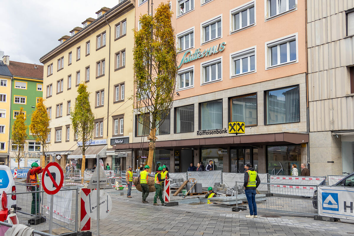 251007_bozner_platz_erste_baeume_wirtschaft_3_mf