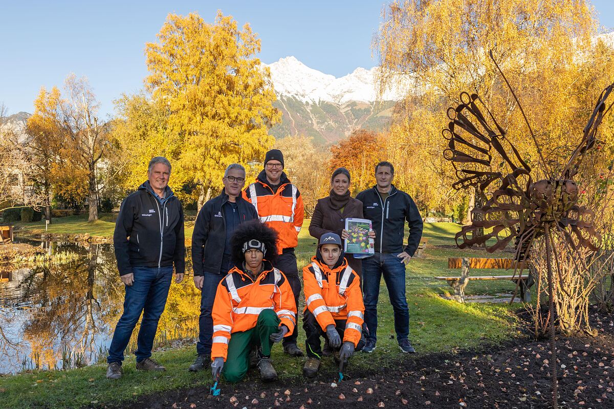 251104_tulpenzwiebel_gruenanlagen_rapoldipark_4__klein_mf