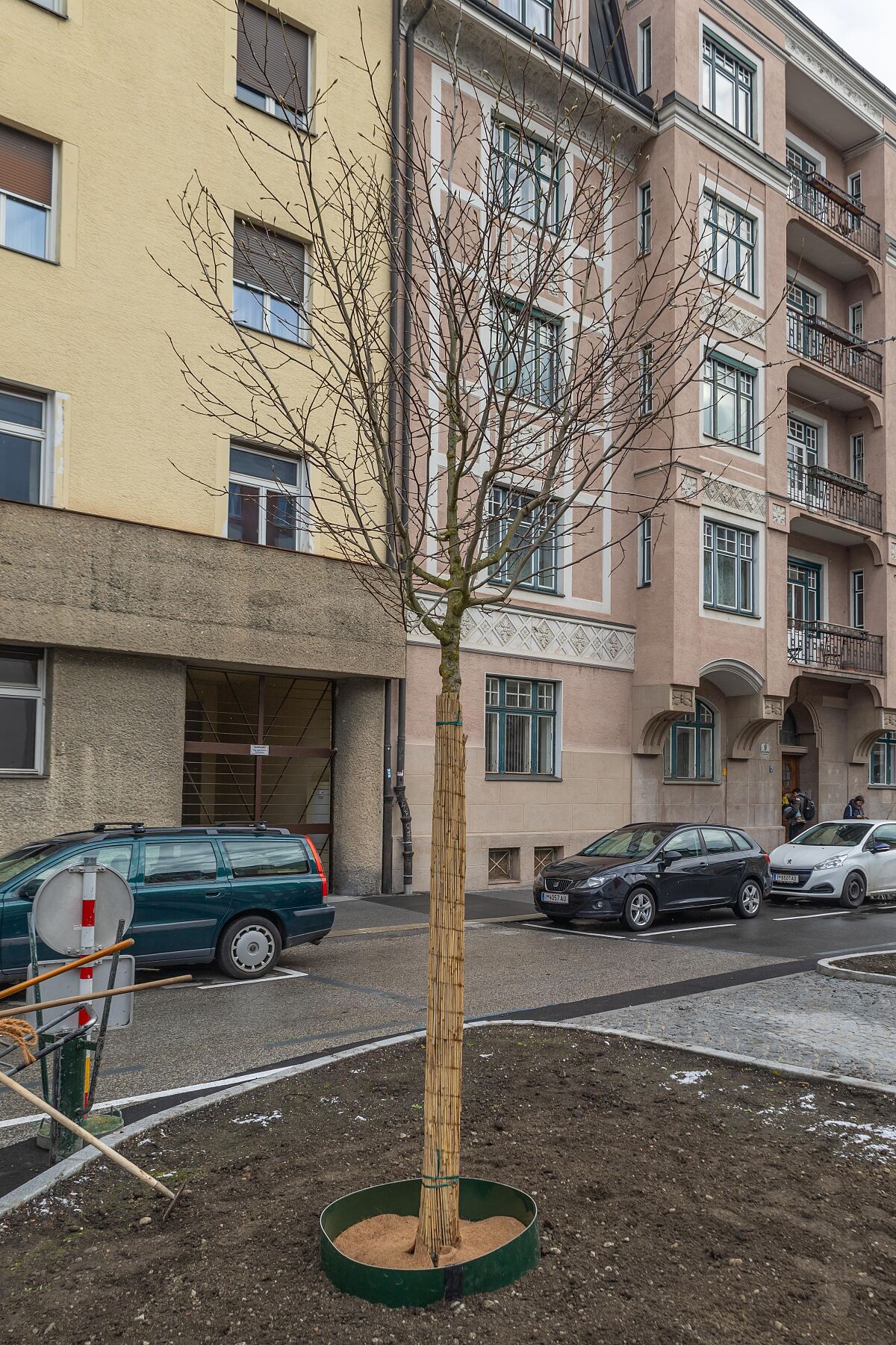 251120_baumpflanzung_erzherzog_eugen_2_fb